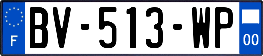 BV-513-WP