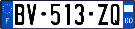 BV-513-ZQ