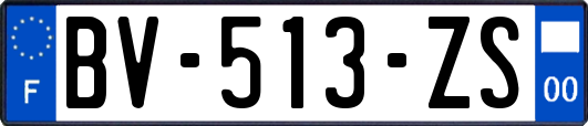 BV-513-ZS