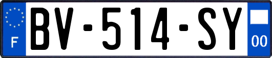 BV-514-SY