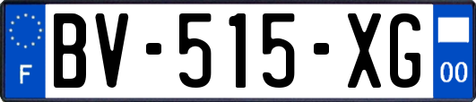 BV-515-XG