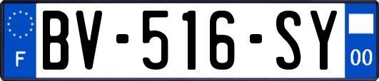 BV-516-SY