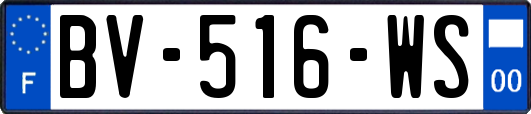 BV-516-WS