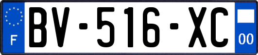 BV-516-XC
