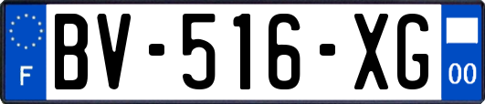 BV-516-XG