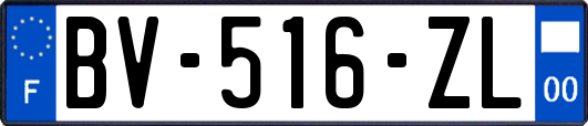 BV-516-ZL