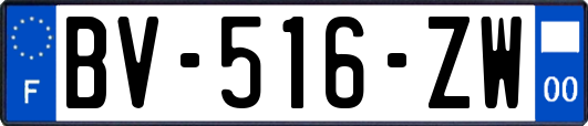 BV-516-ZW