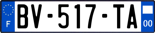 BV-517-TA