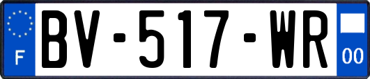 BV-517-WR