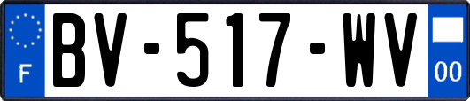 BV-517-WV