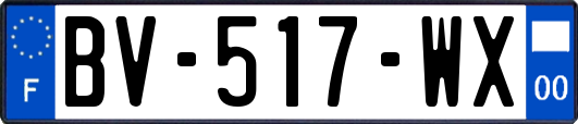 BV-517-WX