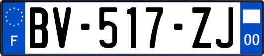 BV-517-ZJ