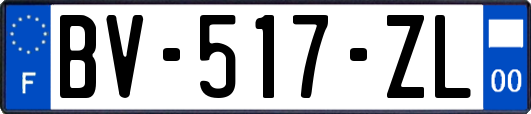 BV-517-ZL