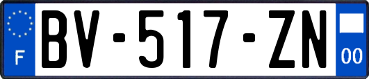 BV-517-ZN