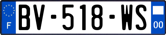 BV-518-WS