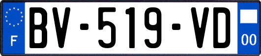 BV-519-VD