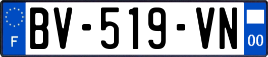 BV-519-VN