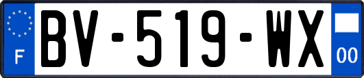 BV-519-WX