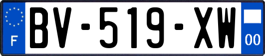 BV-519-XW