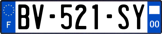 BV-521-SY