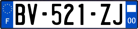 BV-521-ZJ