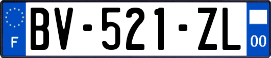 BV-521-ZL