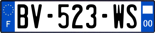 BV-523-WS