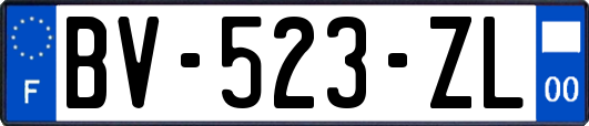 BV-523-ZL