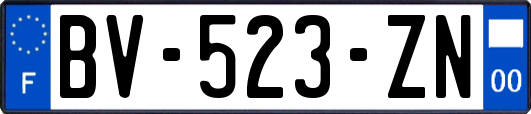 BV-523-ZN