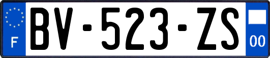 BV-523-ZS