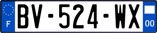 BV-524-WX