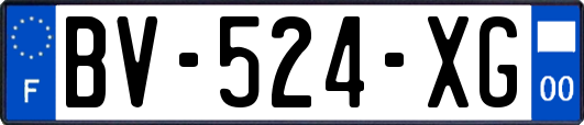 BV-524-XG