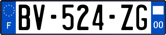 BV-524-ZG