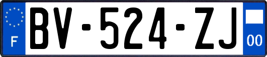 BV-524-ZJ