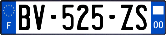 BV-525-ZS