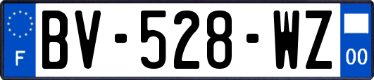 BV-528-WZ