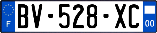 BV-528-XC