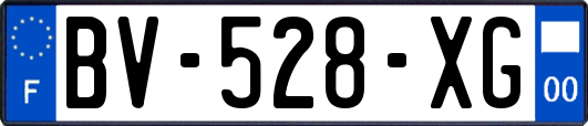 BV-528-XG