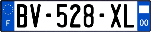 BV-528-XL