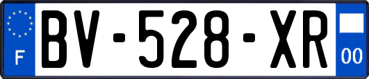 BV-528-XR