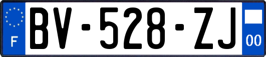 BV-528-ZJ