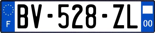 BV-528-ZL