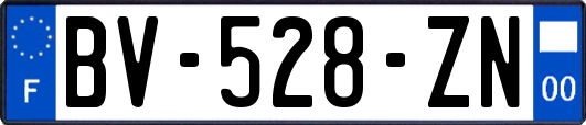 BV-528-ZN