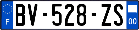 BV-528-ZS