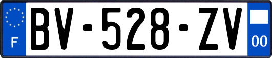 BV-528-ZV