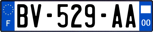 BV-529-AA