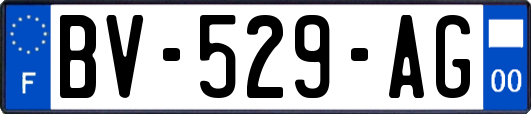 BV-529-AG