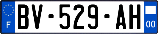 BV-529-AH