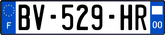 BV-529-HR