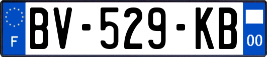 BV-529-KB